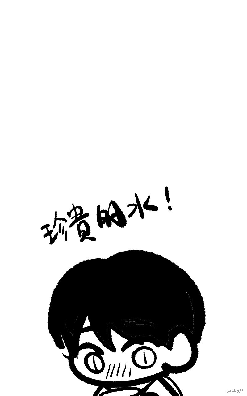 113.jpg