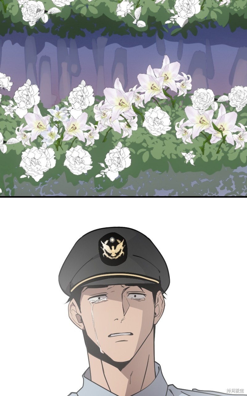 65.jpg