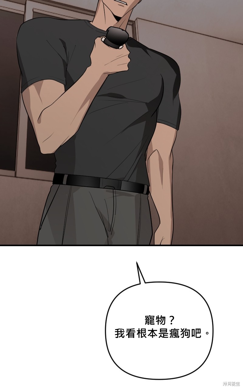 84.jpg